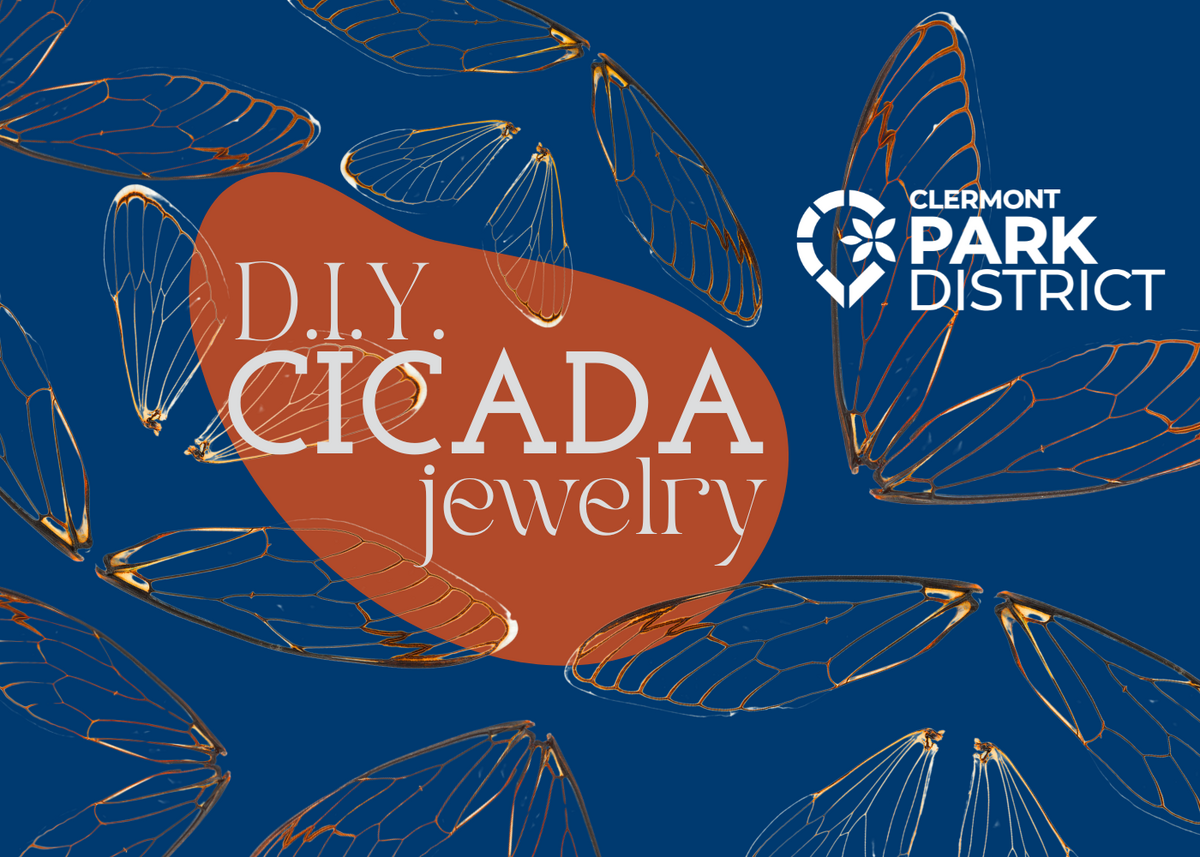 cicada jewerly